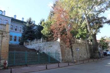 Kütahya’Da “Çınar Ağaçlarının Yaşı” Tartışması
