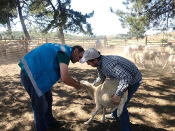 Kütahya’Da "Köyümde Yaşamak İçin Bir Sürü Nedenim Var" Projesi
