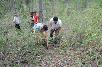 Kütahya’Da ’Ulusal Orman Envanteri’ Çalışmaları Başladı
