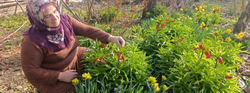 Kütahya’da 20 günlüğüne açıyor, gören kaçırmak istemiyor!