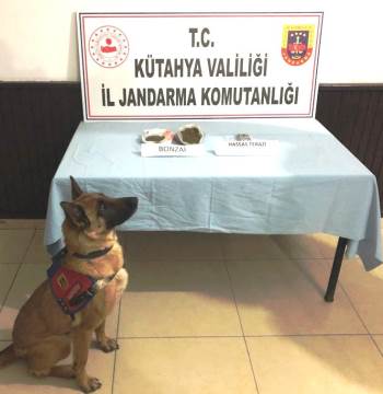 Kütahya’Da 240 Gram Bonzai Ele Geçirildi
