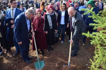 Kütahya’Da 250 Bin Fidan Toprakla Buluştu
