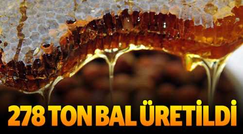 Kütahya'da 278 ton bal üretildi