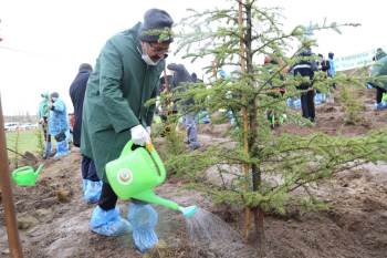 Kütahya’Da 400 Fidan Toprakla Buluştu
