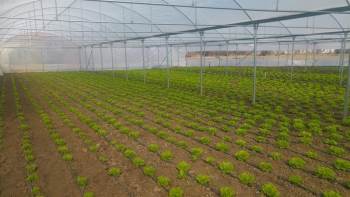 Kütahya’Da 74 Projeye 8 Milyon Tl Hibe Desteği
