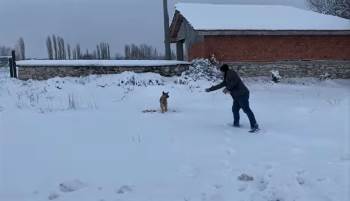 Kütahya’Da Aç Kalan Tilki Köye İndi
