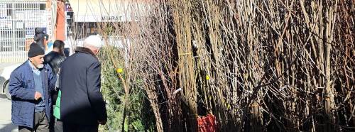 Kütahya’da baharla birlikte satışları arttı: Vatandaştan yoğun ilgi!