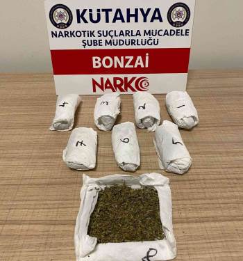 Kütahya’Da Bir Şahsın Üzerinde Bonzai Ele Geçirildi
