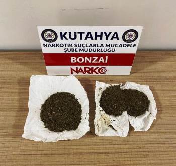 Kütahya’Da Bir Şüphelinin Üzerinde Bonzai Ele Geçirildi
