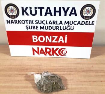 Kütahya’Da Bir Şüphelinin Üzerinde Bonzai Ele Geçirildi
