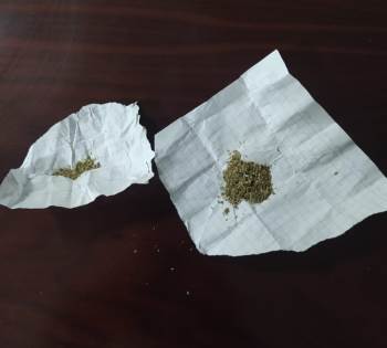 Kütahya’Da Bir Şüphelinin Üzerinde Bonzai Maddesi Ele Geçirildi
