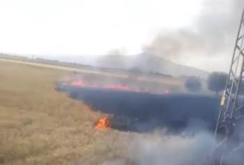 Kütahya’Da Buğday Ekili 4 Dekarlık Alan Kül Oldu
