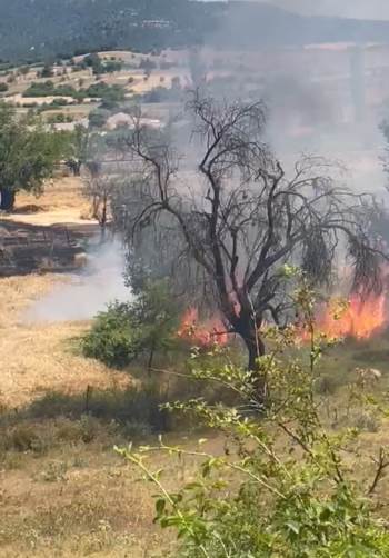 Kütahya’Da Buğday Ekili Tarlada Yangın
