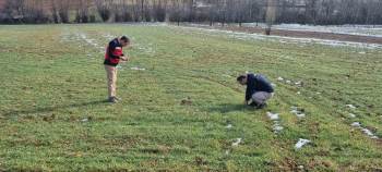 Kütahya’Da Buğday Tohumlarının Arazide Ekiliş Ve Çimlenme Kontrolleri
