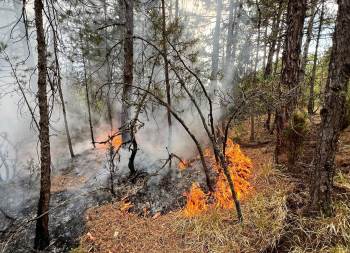 Kütahya’Da Çıkan Yıldırım Kaynaklı 8 Yangın Büyümeden Söndürüldü
