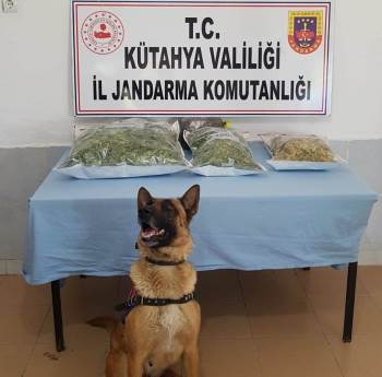 Kütahya’Da Evin Çatısında Bin 530 Gram Kubar Esrar Ele Geçirildi
