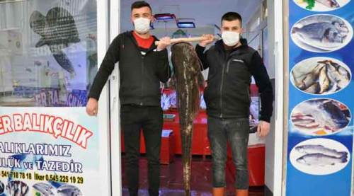 Kütahya'da görenleri hayrete düşürdü! İki kişi zor taşıyor