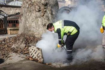Kütahya’Da Haşerelere Karşı Etkin Mücadele
