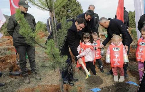 Kütahya'da hatıra ormanı için 2 bin çam fidanı dikildi