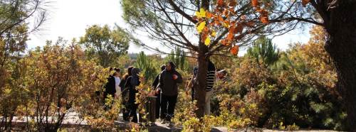 Kütahya'da hayrete düşüren olay: Gediz MYO’da ortaya çıktı!