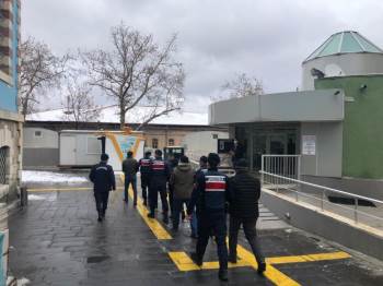 Kütahya’Da Hayvan Hırsızlığına 5 Gözaltı
