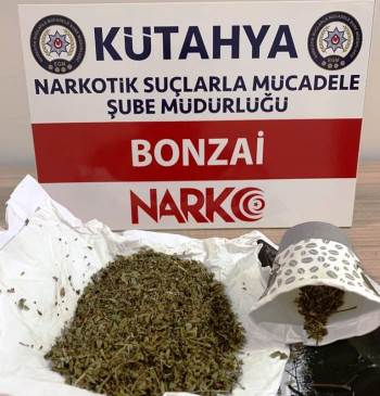 Kütahya’Da İki Şüpheli Şahsın Üzerinde Bonzai Ele Geçirildi
