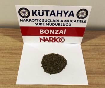 Kütahya’Da İki Şüphelinin Üzerinde Bonzai Ele Geçirildi
