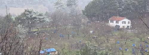 Kütahya’da kar sürprizi: Üretici tedirgin