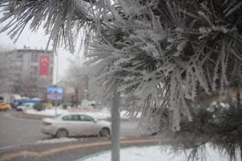 Kütahya’Da Kırağı Güzelliği
