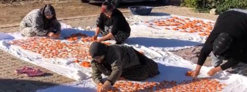 Kütahya’da kış hazırlığı başladı: Kadınlar imece usulü tarhana döktü