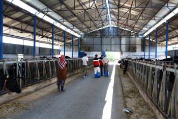 Kütahya’Da Kkydp 15. Etap Projelerinin Yatırım Yeri Kontrolleri
