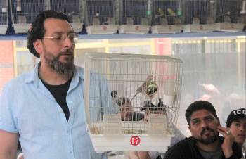 Kütahya’Da Kuş Meraklıları Mezatta Buluştu
