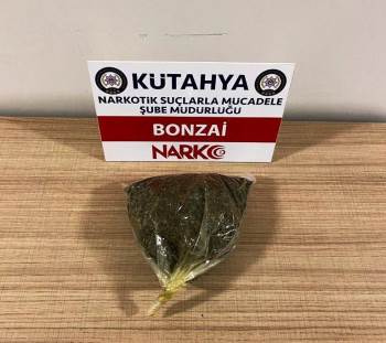 Kütahya’Da Metamfetamin Ve Bonzai Maddesi Ele Geçirildi
