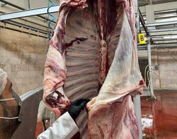 Kütahya’Da Mezbaha Kontrolleri
