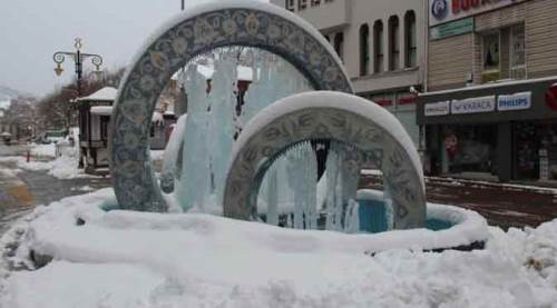 Kütahya'da onu bu halde gören kamerasına sarılıyor!