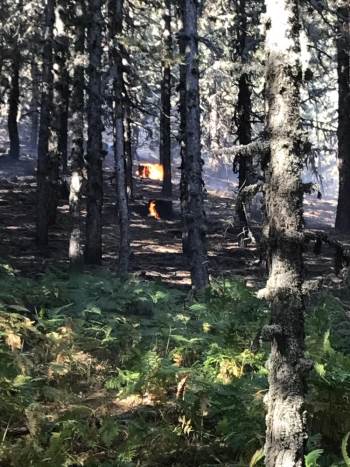 Kütahya’Da Orman Yangını
