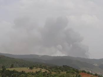 Kütahya’Da Orman Yangını
