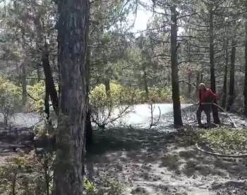 Kütahya’Da Orman Yangını Büyümeden Söndürüldü
