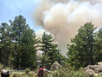 Kütahya’Da Orman Yangını Çıktı
