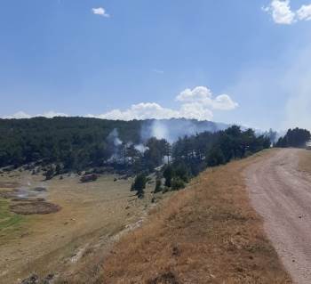 Kütahya’Da Orman Yangını Kontrol Altına Alındı
