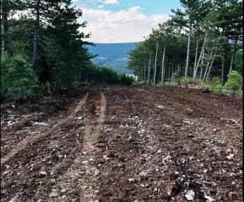 Kütahya’Da Orman Yangınları İle Mücadele Çalışmaları
