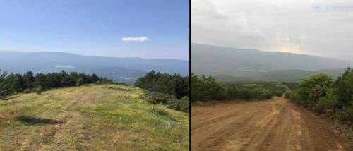 Kütahya'da orman yangınları yarı yarıya azaldı