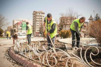 Kütahya’Da Peyzaj Çalışmaları
