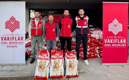 Kütahya'da sahipsiz hayvanlara binlerce kilogram mama desteği