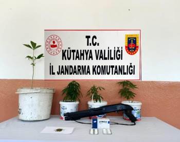 Kütahya’Da Saksı İçerisinde Hint Keneviri Yetiştiren Zanlı Yakalandı
