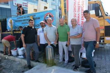 Kütahya’Da Su Kaynaklarına 1 Milyon Yavru Sazan Balığı Bırakıldı
