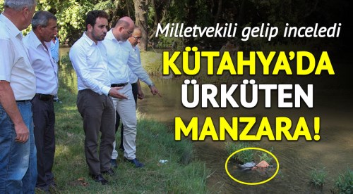 Kütahya'da ürküten manzara! 