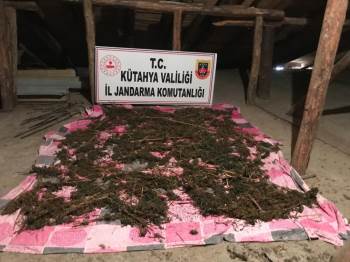 Kütahya’Da Uyuşturucu Operasyonu: 2 Gözaltı
