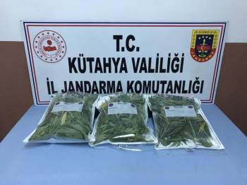 Kütahya’Da Uyuşturucu Operasyonu
