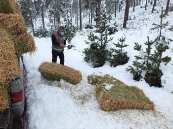 Kütahya’Da Yaban Hayatına Yem
